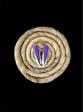 Purple Corn 1